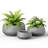 Jaimini 3-Piece Pot Planter Set-1179213274