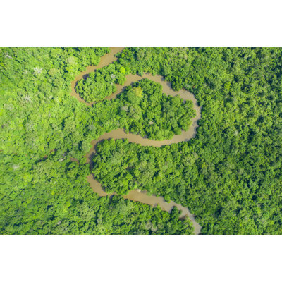 Meandering Jungle River in The Rainforest of The Congo Basin by Guenterguni
