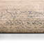 Tapis traditionnel tissé à la machine Jaipur Living Kaia-526746871