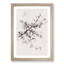 Branch of a White Cherry Blossom Tree - Framed Print-56741646-56741649