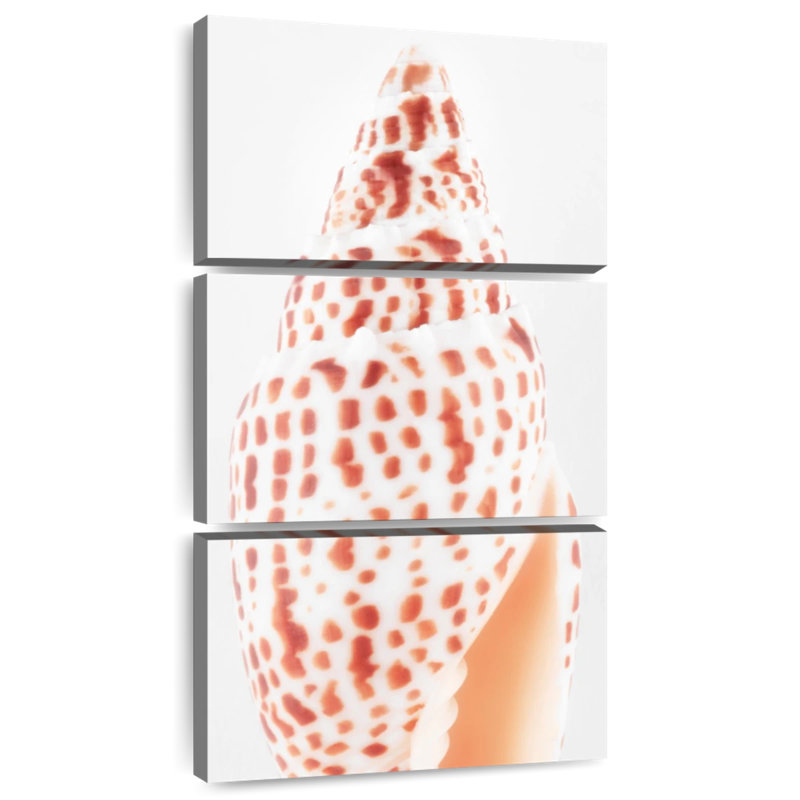Coque à onglets I, H 32 po x l 15 po