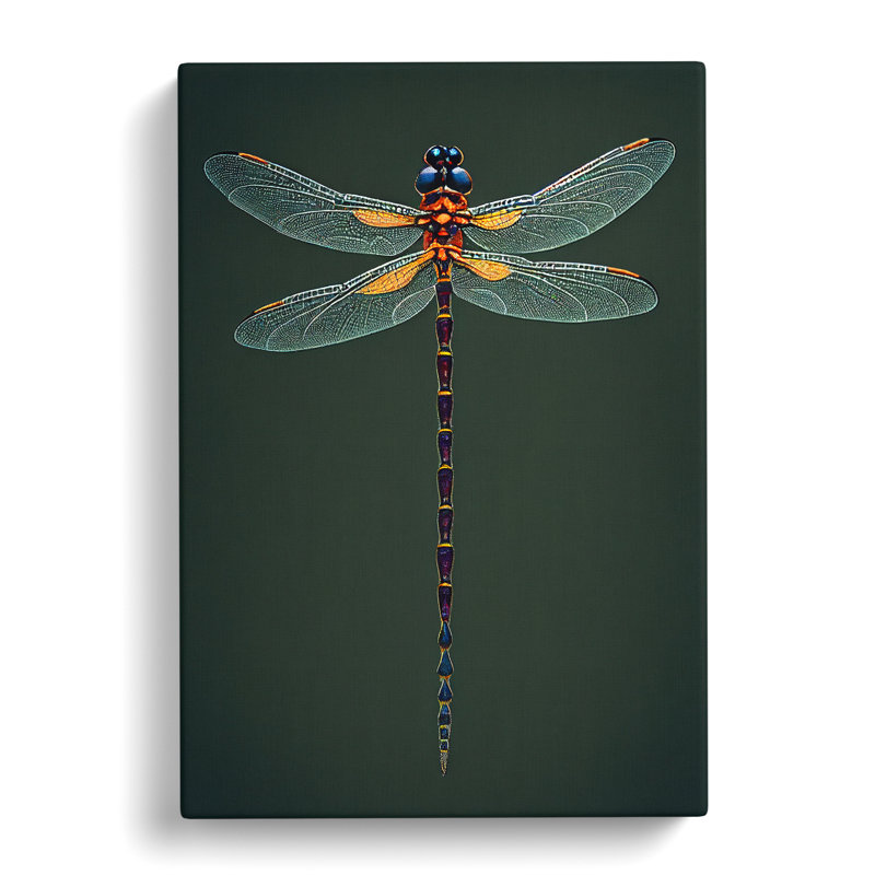 Intricate Dragonfly - Wrapped Canvas Print, 50cm H x 35cm W x 3cm D