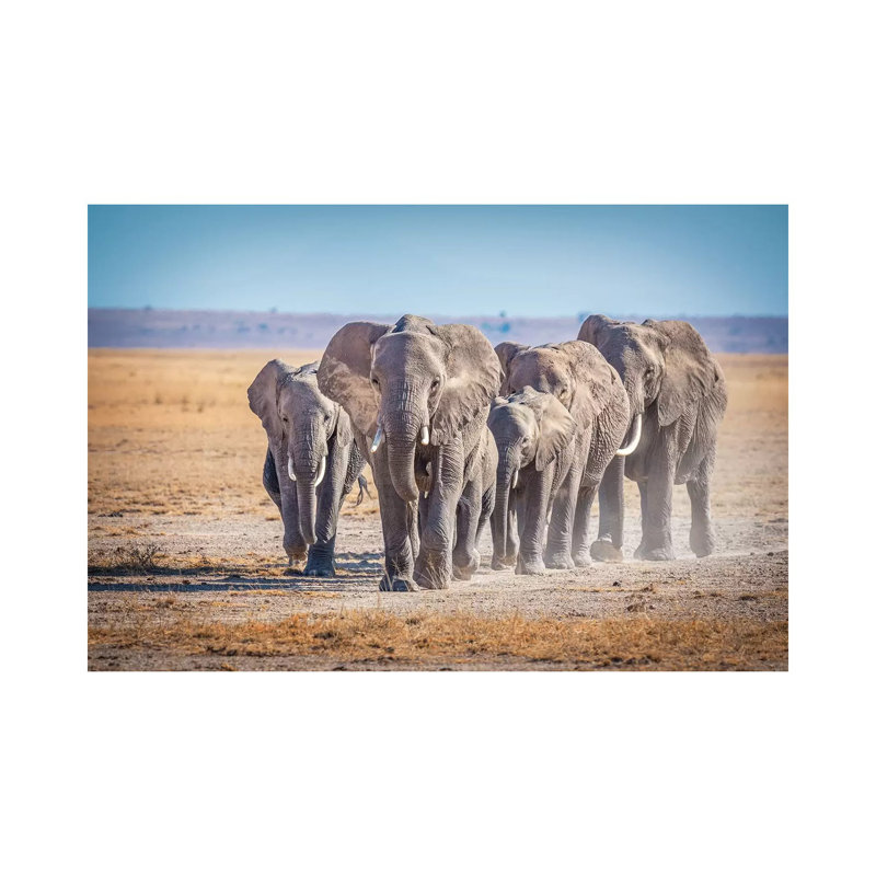 The Titans by Jeffrey C. Sink - Wrapped Canvas Print, 20.32cm H x 30.48cm W x 1.91cm D