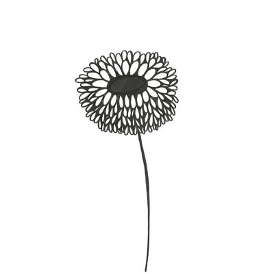 " Buttercup " Painting Print