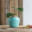 Vase de table Cevennes