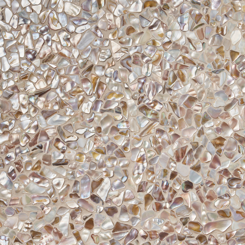 Baroque 12" x 12" Seashell Mosaic Wall Tile
