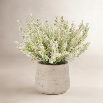 Ferdinand Heather Arrangement in Pot