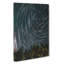 Stars Above A Forest In Austria - Wrapped Canvas-55318146