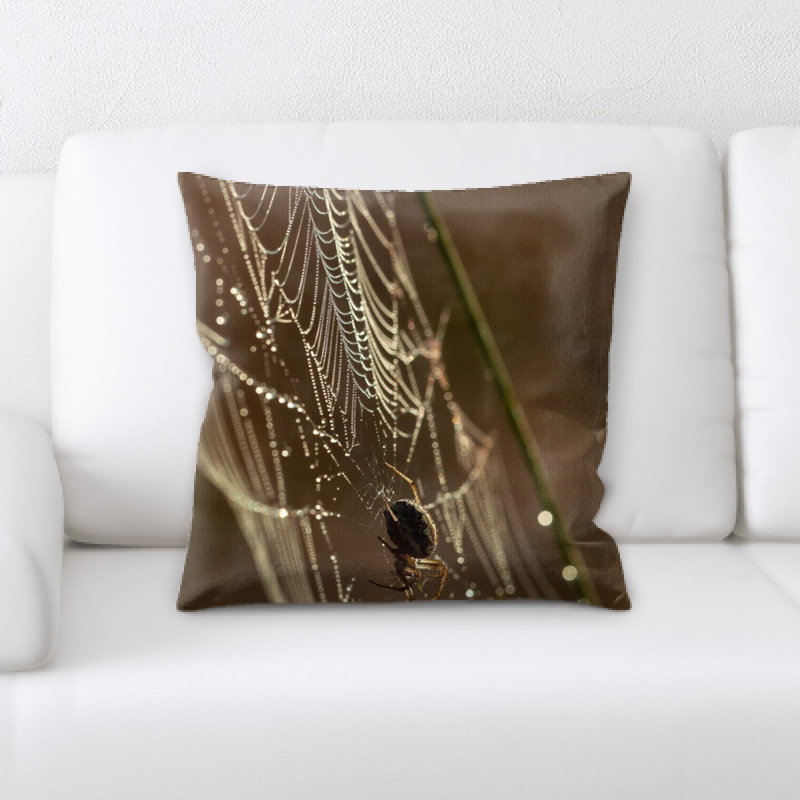 Coussin de spider