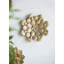 Plaque murale succulente