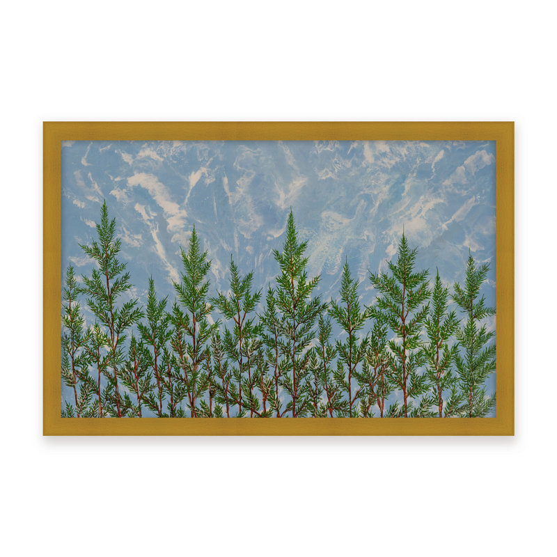 Nature Inspired "Reaching for the Sky" Canvas Wall Art By , 12" H x 16" W, Framed Matted Print, Brown