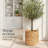 Round Storage Basket-1096241323