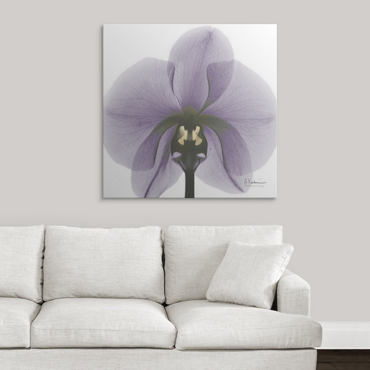 «par albert koetsier,, reproduction de photo Orchid X-Ray, H 20 po x l 20 po x P 1,5 po, Toile