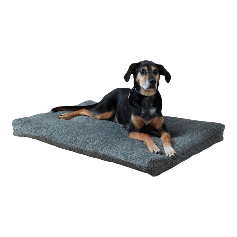 Tapis de caisse pour chien Sadie Deluxe, Large, Ombre