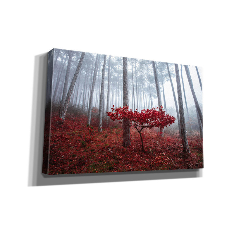 Art mural sur toile Millwood Pines, H 26 po x l 40 po x P 1,5 po