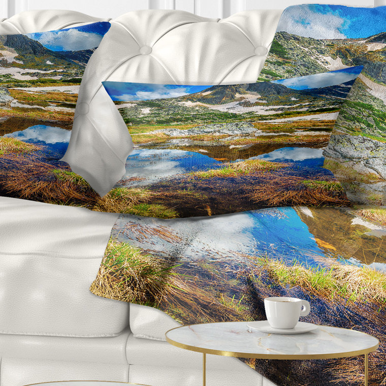 Throw Pillow