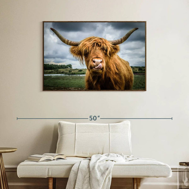 Silly Highland Cow, Cadre flottant noyer, 40 po x 27 po