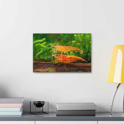 No Frame Print on Canvas