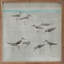 Sandpipers Gray par Avery Tillmon-568727749