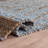Alegria Natural Fiber Hand Loomed Jute/Cotton Geometric Rug in Light Blue/Brown-1507605075