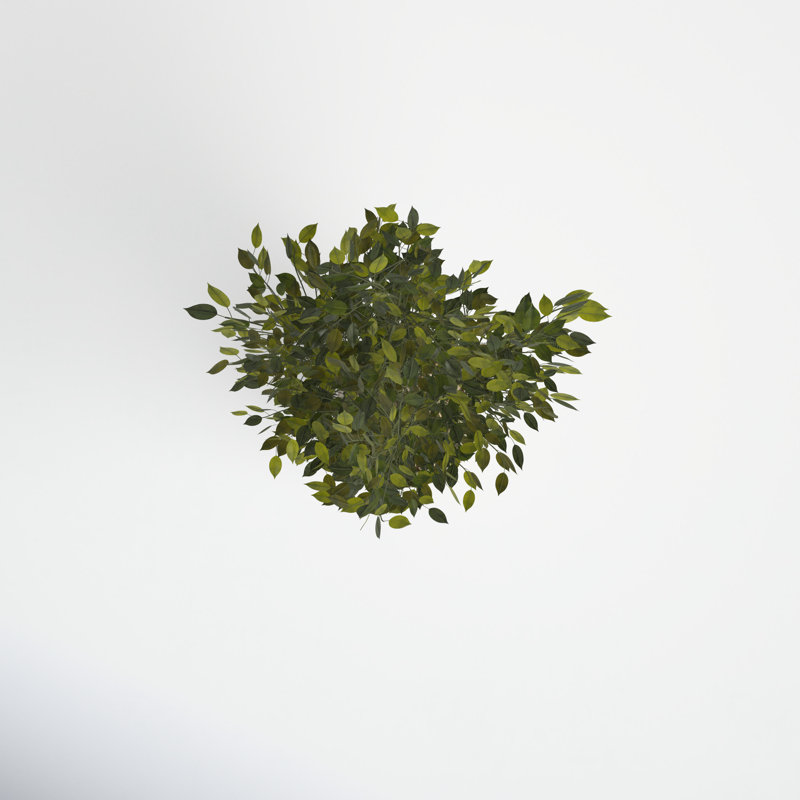 53'' Faux Ficus Tree in Earthenware Planter
