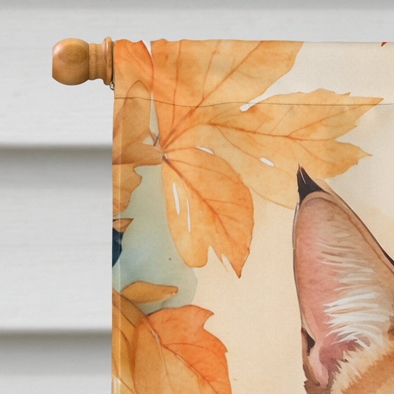 Chat en feuilles d'automne, Égée