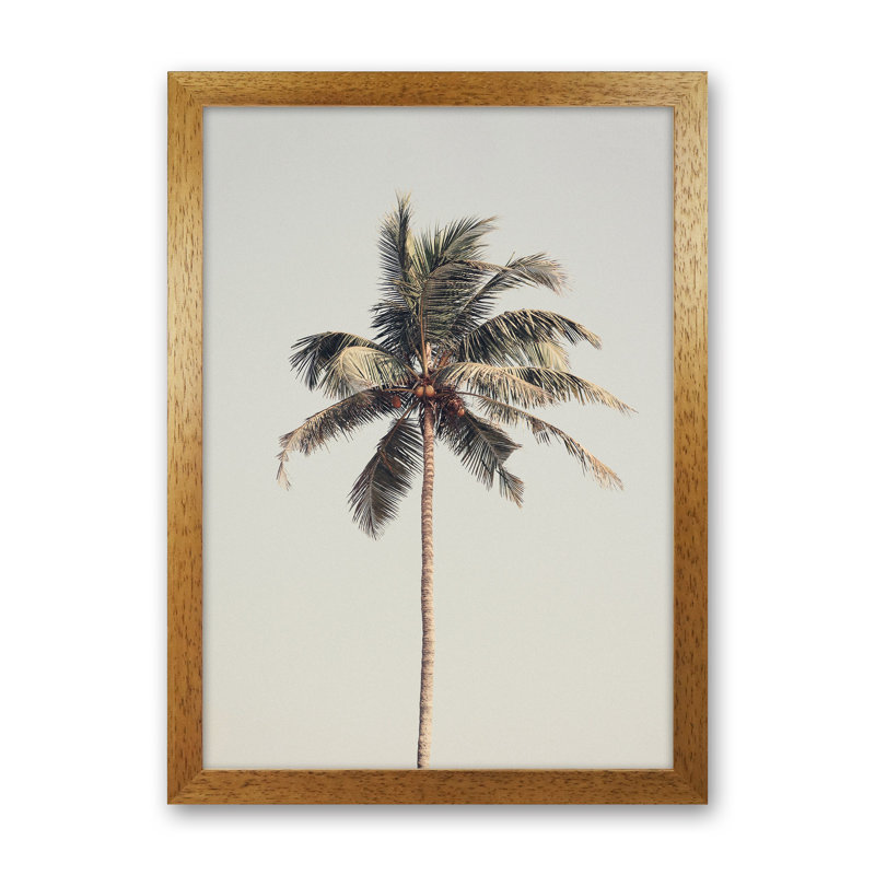 Palm Tree By The Beach by Victoria Frost - Print, Oak Framed, 63cm H x 46cm W x 3cm D