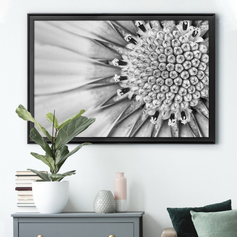Quiet Burst II - reproduction de cadre photo, Noir, H 30,5 po x l 42,5 po x P 1,5 po