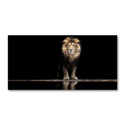 Portrait Of A Lion - No Frame Print on Canvas