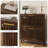 31.5-Inch Walnut Shoe Cabinet