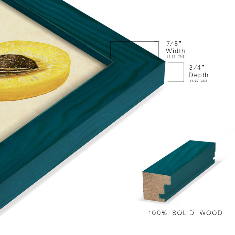 «Apricot Study I», reproduction d'art sur papier, H 15 po x l 12 po x P 1 po, Bleu