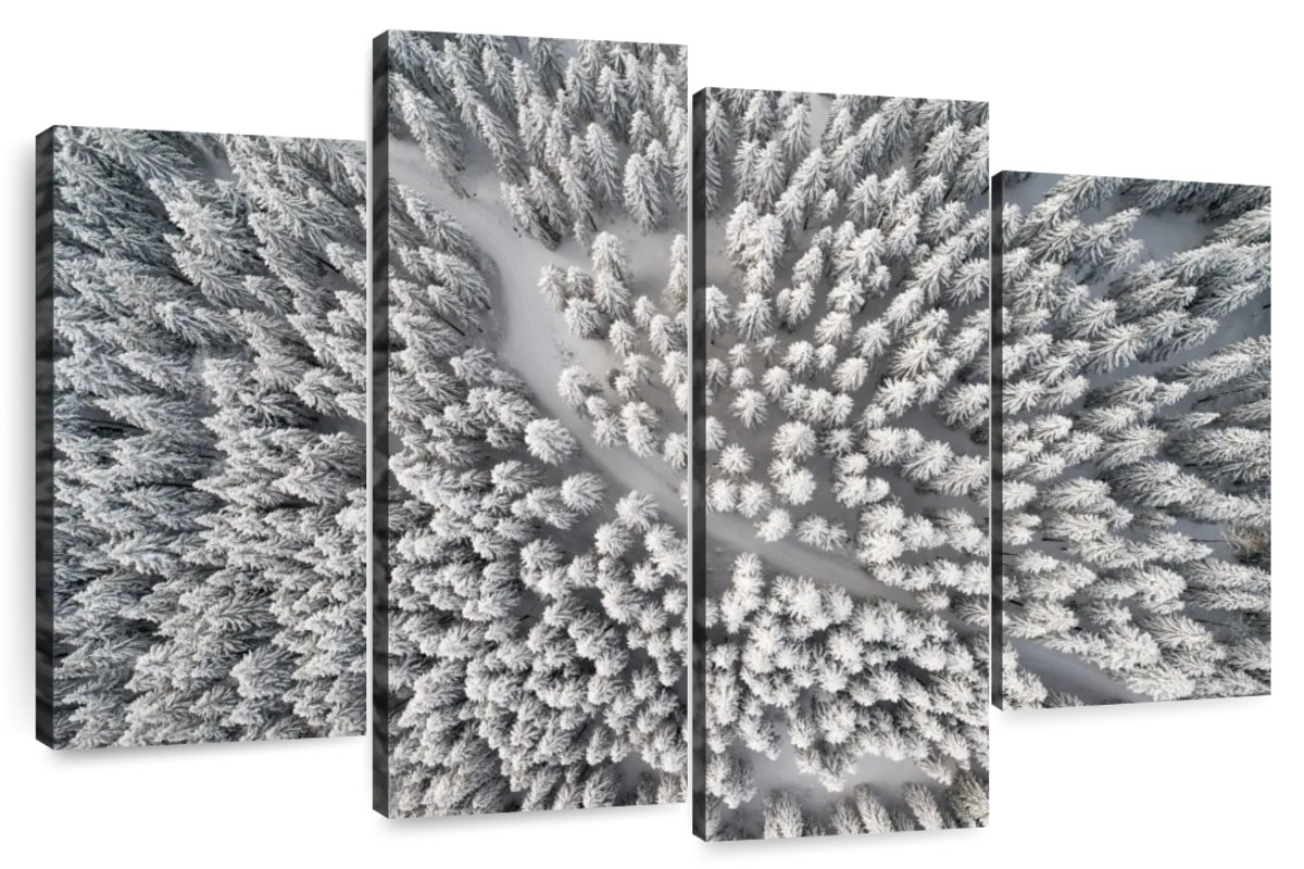 Millwood Pines Alvord Winter Forest Trail | Wayfair