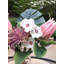 Silk Protea Arrangement in Vase