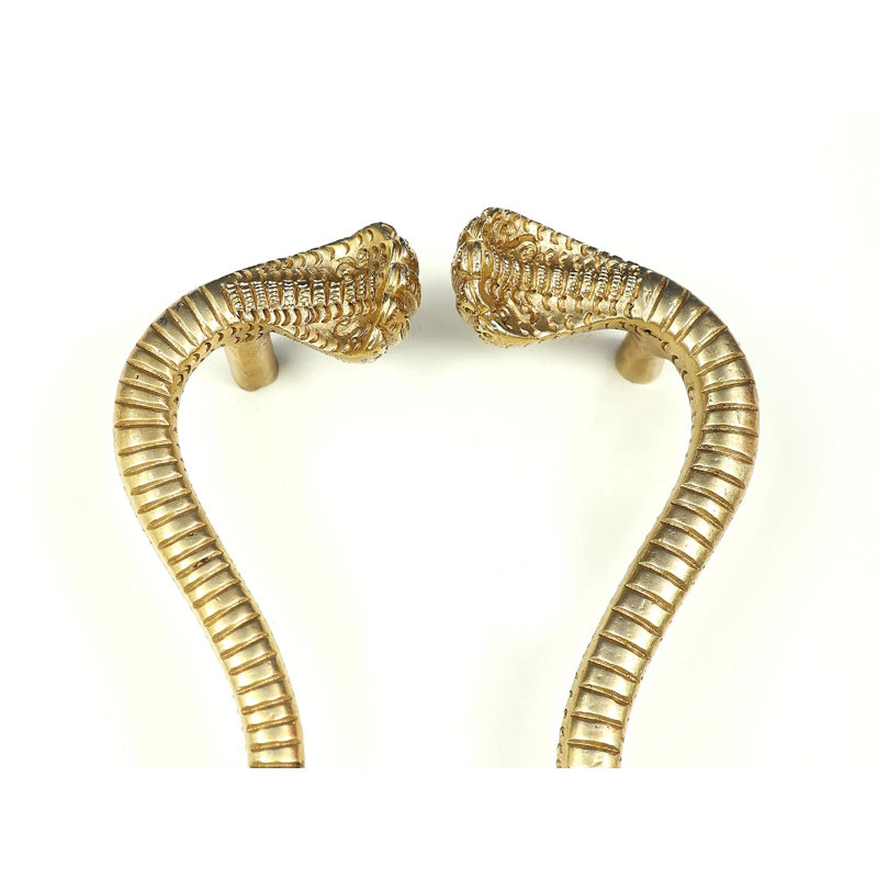 2 Piece Brass Snake Pull Plate Set