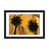 Blanc n'est pas disponible