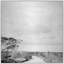 Beach Tree Trail Print by Lillian August