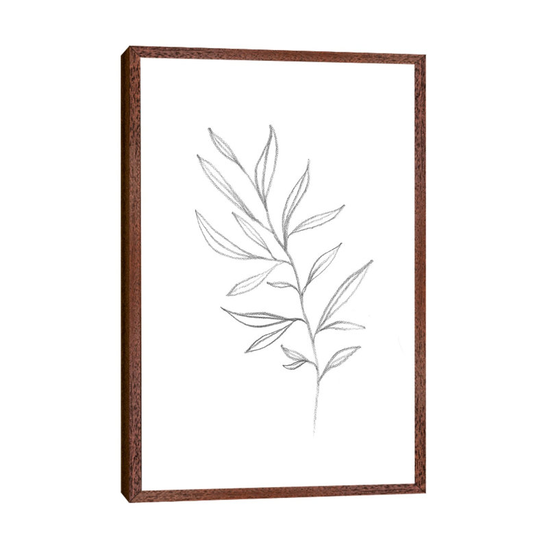 Line Art Plant - Print on Canvas, Classic Brown Wood Framed, 101.6cm H x 66.04cm W x 3.81cm D
