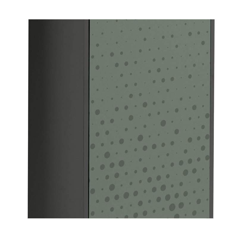 11 Pair Shoe Storage Cabinet, Jet Black/Green