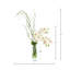Arrangement d'orchidées avec vignes