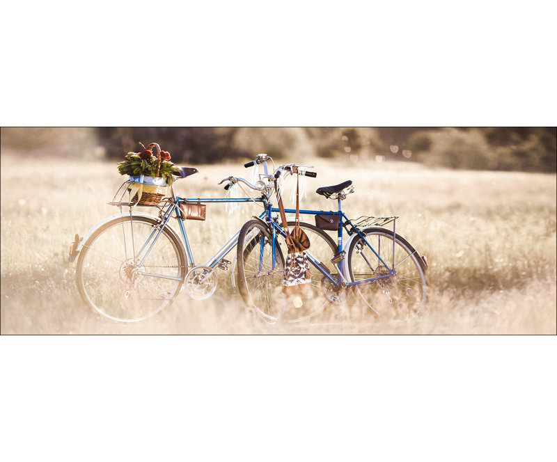 Retro Bicycle Painting Print Glass Art, 50 cm H x 125 cm W x 1.4cm D