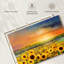 Huile de tournesol Alvord-107718215