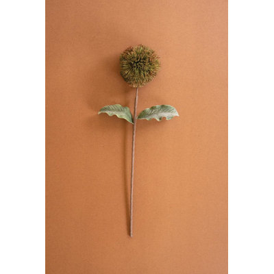 BOTANICA # 3620