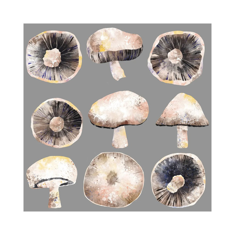 Mushrooms by Nic Squirrell - Wrapped Canvas Print, 66.04cm H x 66.04cm W x 1.91cm D