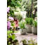 Plant Pot-72816988-72816990