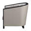Witold Beige Chair with Pillow