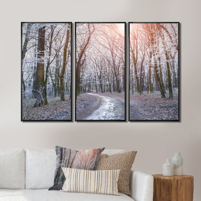 " Misty Trail In Autumn Forest " 3 - Pieces