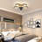 Franzius 20'' Ceiling Fan with LED Lights Remote