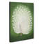 Peacock - Wrapped Canvas-55341687
