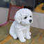 White Baby Bichon Frise | Handpainted Decorative Puppy Statue for Home & Garden Decor | Premium Polyresin Dog Statue | Gift for Dog Lovers | Weather-Resistant Indoor/Outdoor Decor