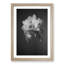 Pretty White Orchid - Framed Print-55768056-55768059